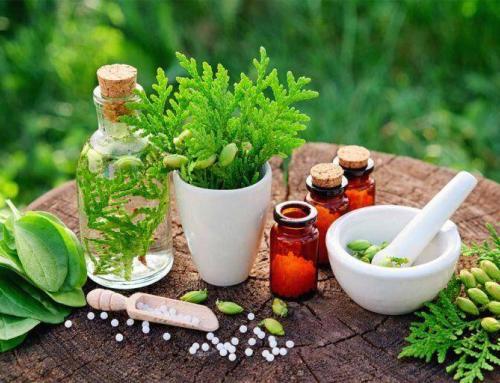 Naturopathie : une approche pour retrouver votre équilibre