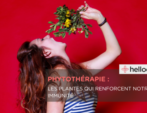 Phytothérapie : les plantes qui renforcent notre immunité